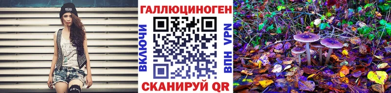 магазин продажи   Чегем  hydra сайт  Псилоцибиновые грибы Cubensis 