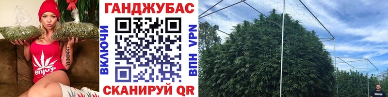shop формула  KRAKEN ССЫЛКА  Бошки Шишки AK-47  Чегем  как найти закладки 